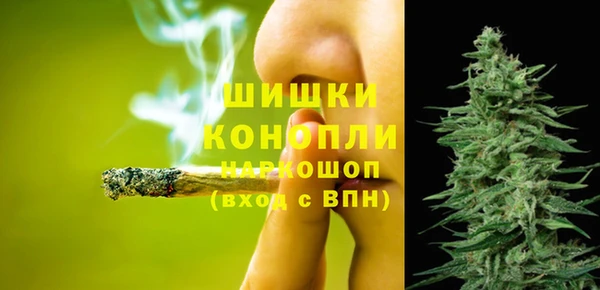 mix Козельск