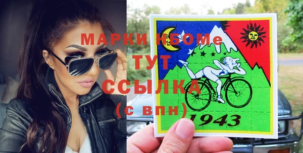 хмурый Алзамай