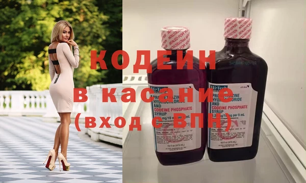 хмурый Алзамай