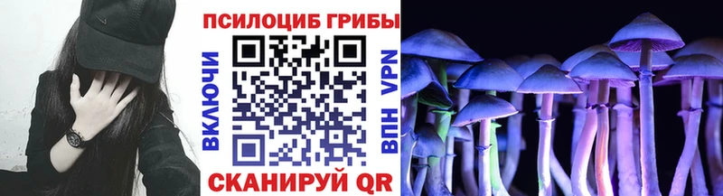 дарк нет Telegram  МЕГА tor  Оленегорск  Галлюциногенные грибы мицелий 